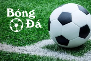 Bóng Trong Cuộc Và Bóng Ngoài Cuộc Theo Luật FIFA