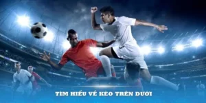 Tuyệt Chiêu Cách Chơi Kèo Trên Kèo Dưới Tối Ưu Lợi Nhuận