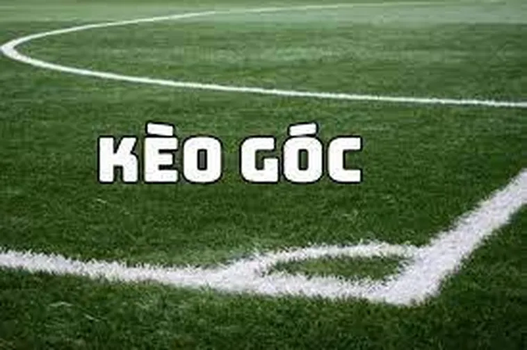 Cách Chơi Kèo Phạt Góc Bóng Đá Cho Người Mới Bắt Đầu