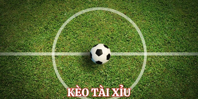 Cách Chơi Kèo Tài Xỉu Bóng Đá Chuẩn Xác Nhất Hiện Nay